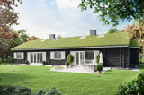 Grass roof house visualisation